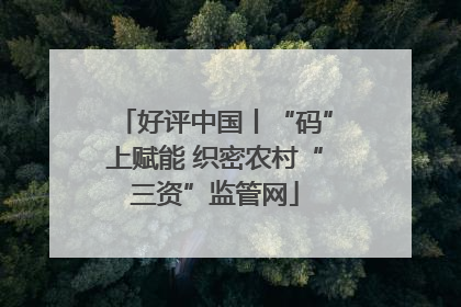 好评中国丨“码”上赋能 织密农村“三资”监管网