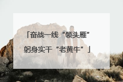 奋战一线“领头雁” 躬身实干“老黄牛”