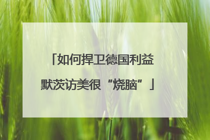 如何捍卫德国利益 默茨访美很“烧脑”