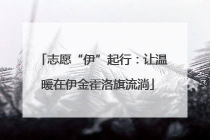 志愿“伊”起行：让温暖在伊金霍洛旗流淌