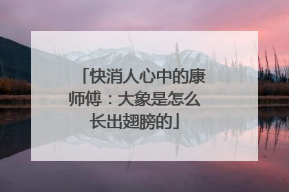 快消人心中的康师傅：大象是怎么长出翅膀的