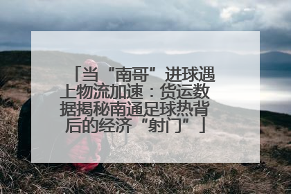 当“南哥”进球遇上物流加速：货运数据揭秘南通足球热背后的经济“射门”