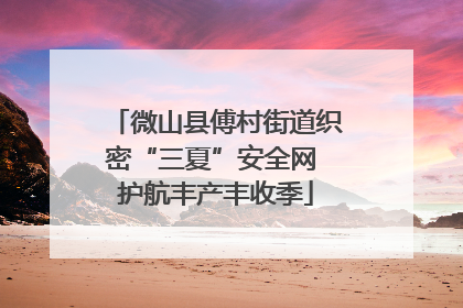 微山县傅村街道织密“三夏”安全网 护航丰产丰收季