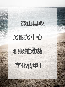 微山县政务服务中心积极推动数字化转型