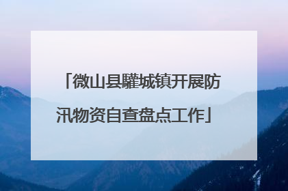 微山县驩城镇开展防汛物资自查盘点工作