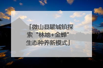 微山县驩城镇探索“林地+金蝉”生态种养新模式