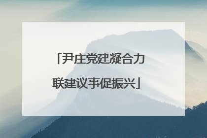 尹庄党建凝合力 联建议事促振兴