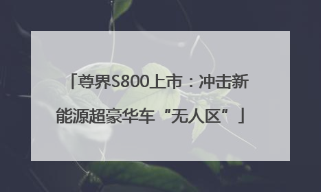 尊界S800上市：冲击新能源超豪华车“无人区”