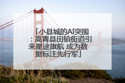 小县城的AI突围：高青县田镇街道引来星途旗航 成为数据标注先行军