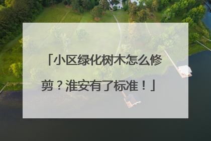 小区绿化树木怎么修剪？淮安有了标准！