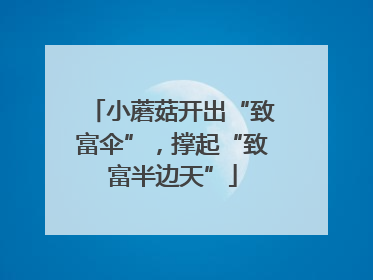 小蘑菇开出“致富伞”，撑起“致富半边天”
