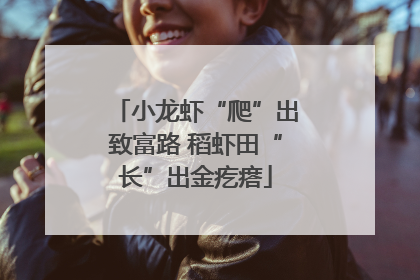 小龙虾“爬”出致富路 稻虾田“长”出金疙瘩