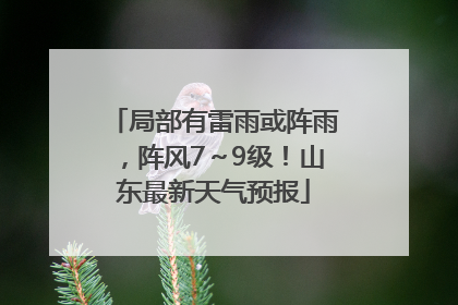 局部有雷雨或阵雨，阵风7～9级！山东最新天气预报