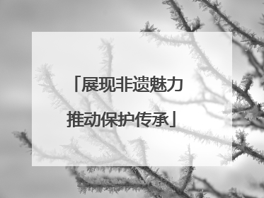 展现非遗魅力 推动保护传承