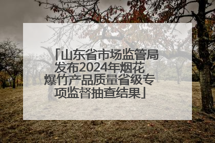 山东省市场监管局发布2024年烟花爆竹产品质量省级专项监督抽查结果