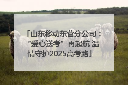 山东移动东营分公司：“爱心送考”再起航 温情守护2025高考路