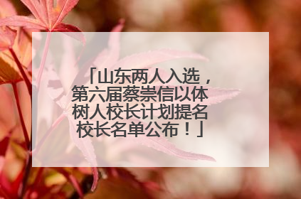 山东两人入选，第六届蔡崇信以体树人校长计划提名校长名单公布！