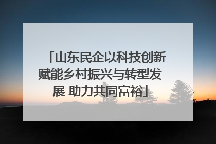 山东民企以科技创新赋能乡村振兴与转型发展 助力共同富裕