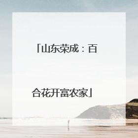 山东荣成：百合花开富农家