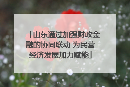 山东通过加强财政金融的协同联动 为民营经济发展加力赋能