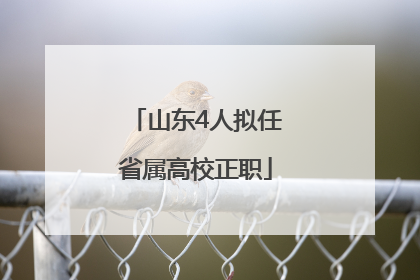 山东4人拟任省属高校正职