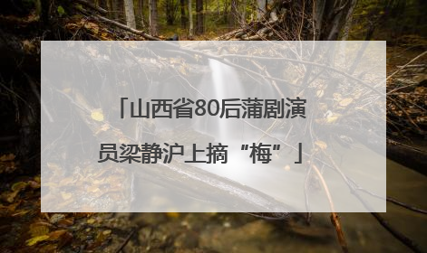 山西省80后蒲剧演员梁静沪上摘“梅”