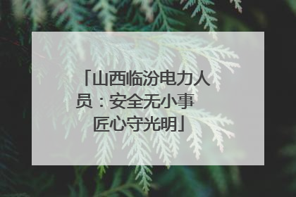 山西临汾电力人员：安全无小事 匠心守光明