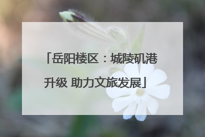 岳阳楼区：城陵矶港升级 助力文旅发展