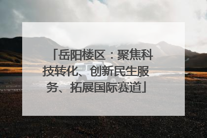 岳阳楼区：聚焦科技转化、创新民生服务、拓展国际赛道
