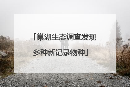 巢湖生态调查发现多种新记录物种