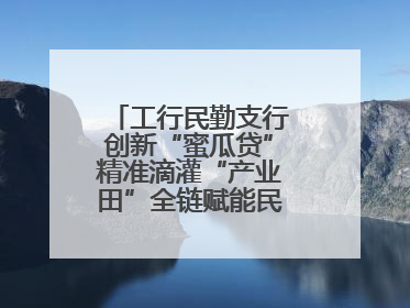 工行民勤支行创新“蜜瓜贷”精准滴灌“产业田”全链赋能民勤乡村振兴