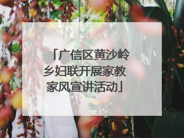 广信区黄沙岭乡妇联开展家教家风宣讲活动