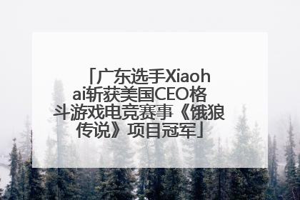 广东选手Xiaohai斩获美国CEO格斗游戏电竞赛事《饿狼传说》项目冠军