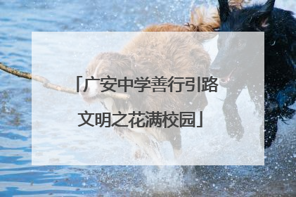 广安中学善行引路 文明之花满校园