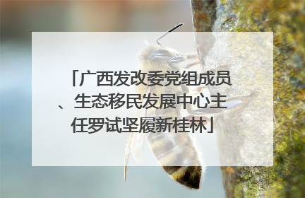 广西发改委党组成员、生态移民发展中心主任罗试坚履新桂林
