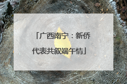 广西南宁：新侨代表共叙端午情