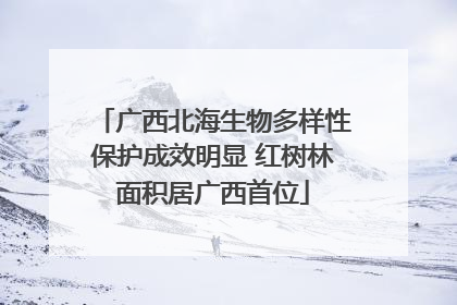 广西北海生物多样性保护成效明显 红树林面积居广西首位