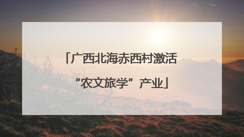 广西北海赤西村激活“农文旅学”产业