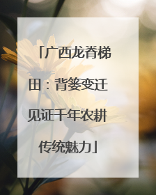 广西龙脊梯田：背篓变迁见证千年农耕传统魅力