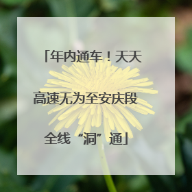 年内通车！天天高速无为至安庆段全线“洞”通