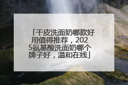 干皮洗面奶哪款好用值得推荐，2025氨基酸洗面奶哪个牌子好，温和在线