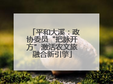 平和大溪：政协委员“把脉开方”激活农文旅融合新引擎