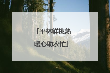 平林鲜桃熟 暖心助农忙