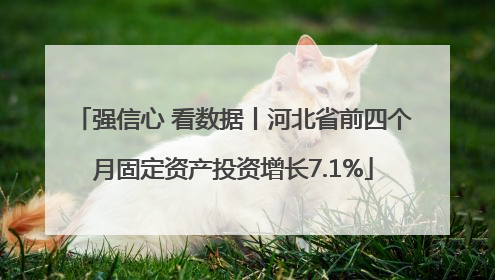强信心 看数据丨河北省前四个月固定资产投资增长7.1%