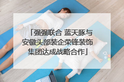 强强联合 蓝天豚与安徽头部装企荣锋装饰集团达成战略合作