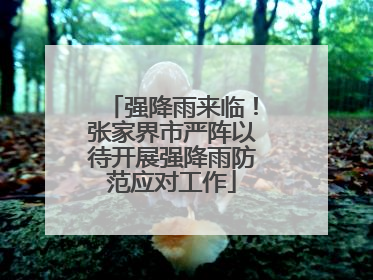 强降雨来临！张家界市严阵以待开展强降雨防范应对工作