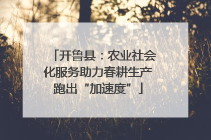 开鲁县：农业社会化服务助力春耕生产跑出“加速度”