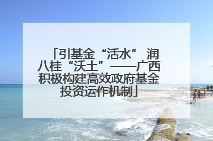 引基金“活水” 润八桂“沃土”——广西积极构建高效政府基金投资运作机制