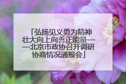 弘扬见义勇为精神 壮大向上向善正能量——北京市政协召开调研协商情况通报会