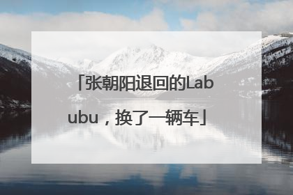 张朝阳退回的Labubu，换了一辆车
